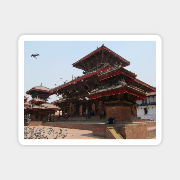 Kathmandu Temple Pigeons Magnet by JohnDalkin