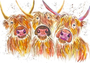 Three Highland Cows Magnet