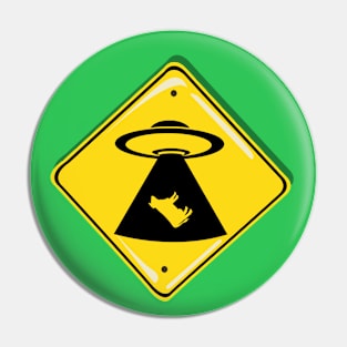 Cosmic Crossing: UFO Abduction Zone Pin