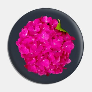 Pink Hydrangea Floral Photo Cutout Pin