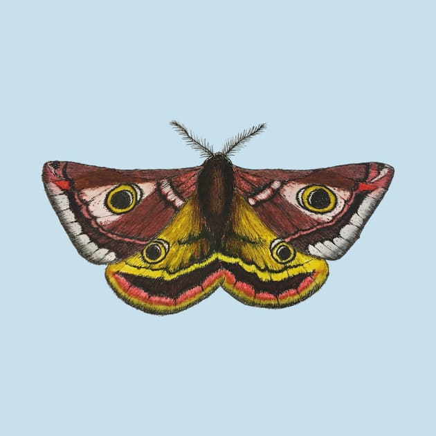 Little Emperor Moth by ungildedlily