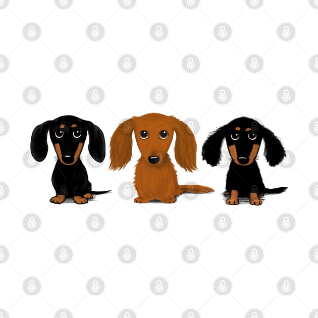 Three Doxies by Coffee Squirrel