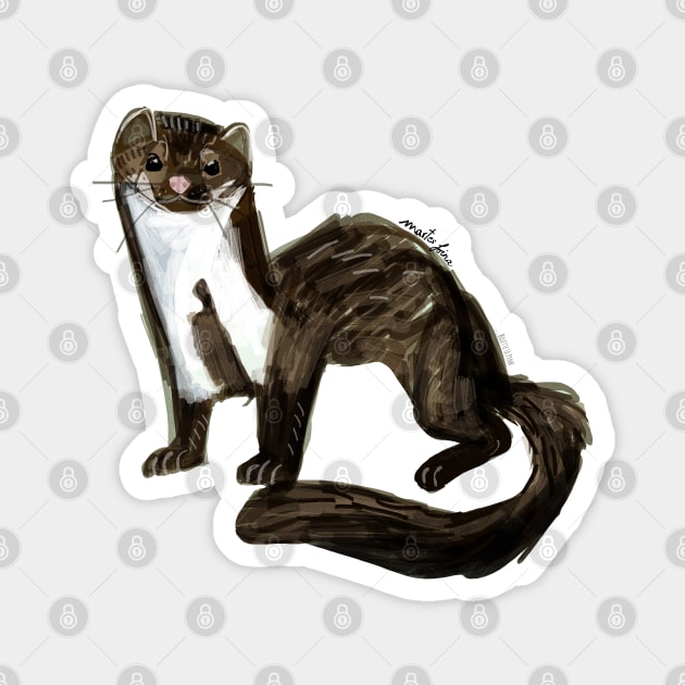 Sweet Stone Marten ( Martes foina ) Magnet by belettelepink