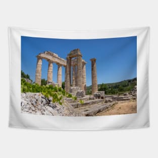 Nemea, Greece, ruins. Tapestry