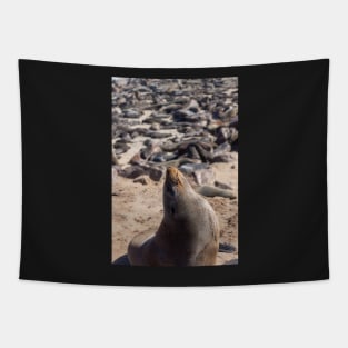 Fur seal. Tapestry