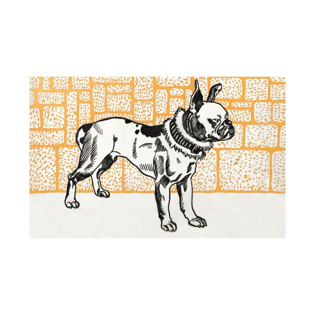 dog illustration by GSDESIGNN