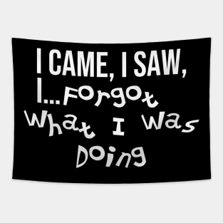 Funny relatable ADHD quote. I Came, I Saw, I Forgot What I Was Doing. Tapestry