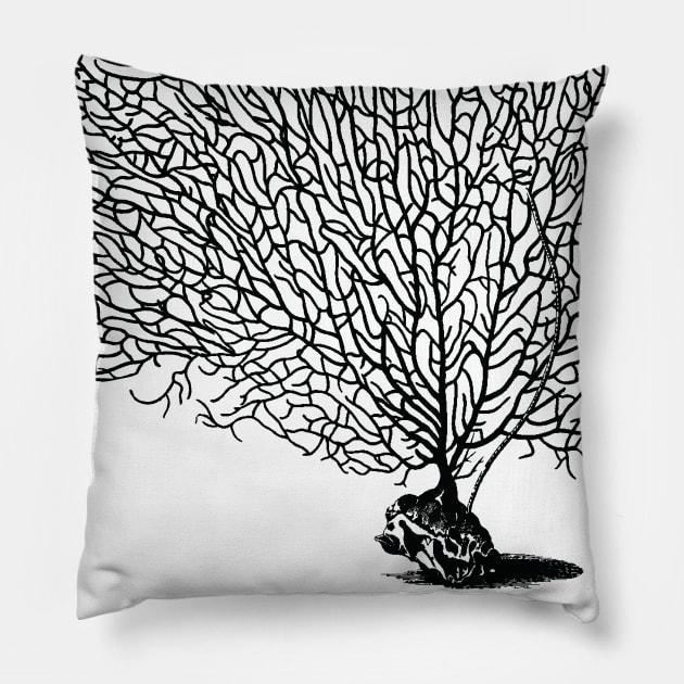 Black Sea Fan Coral Pillow by pelagio