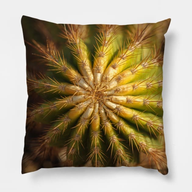 Cactopic Pillow by rturnbow