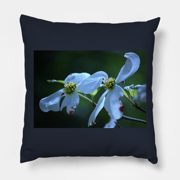 Dogwood Blossom Pillow by LaurieMinor