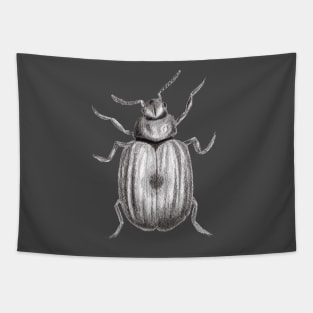 Realistic Beetle Bug Pencil Drawing Tapestry