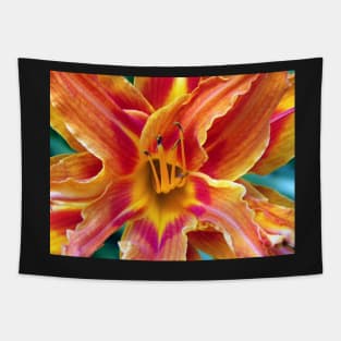 Flower Close Up Orange Lily Bloom Art, Floral Home Decor, Gifts & More! Tapestry