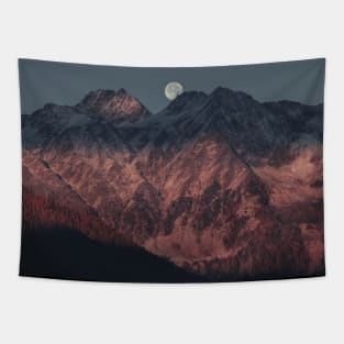 Mountains Tapestry