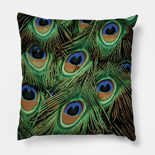 PEACOCK FEATHERS Pop Art Pillow