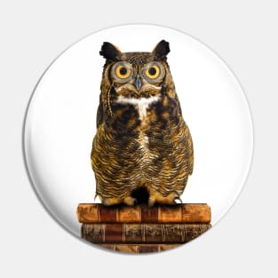 Great Horned Owl on Old Books Pin