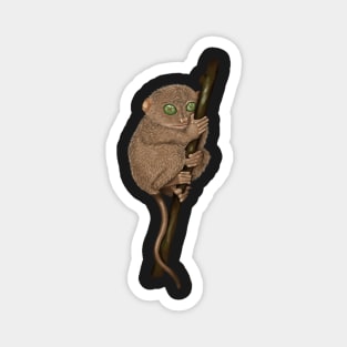 Vintage Tarsier Monkey Magnet