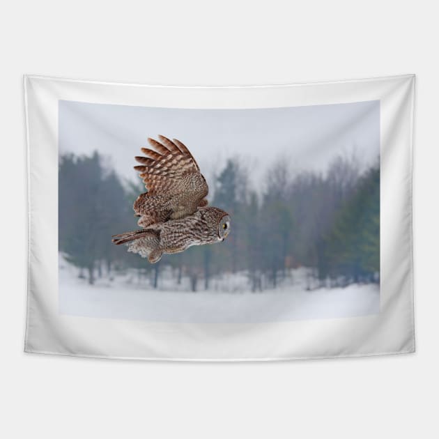 Flyby - Great Grey Owl Tapestry by Jim Cumming