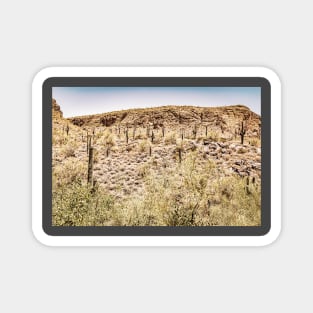 Apache Trail Scenic Drive View Magnet