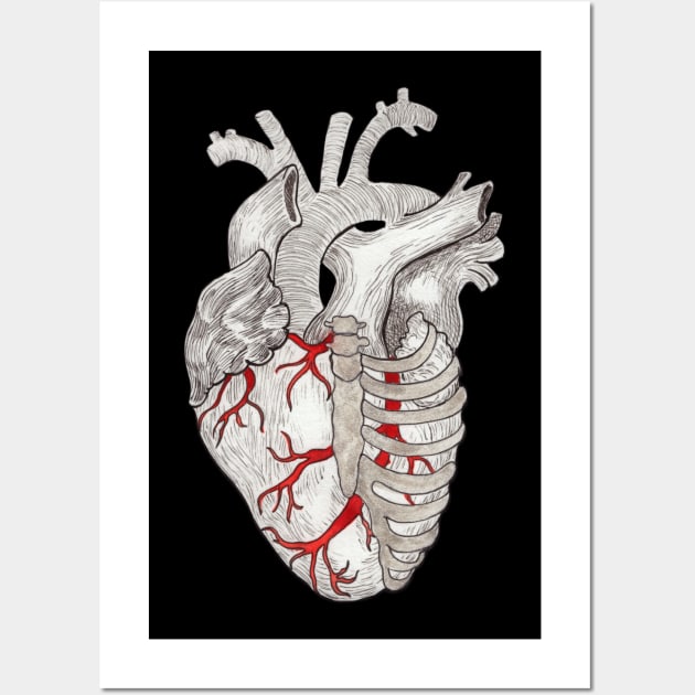 Anatomical Human Heart wall art human heart wall decor
