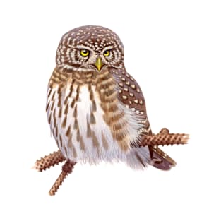 Eurasian Pygmy Owl T-Shirt