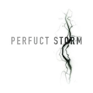 Perfuct Storm Logo - light T-Shirt