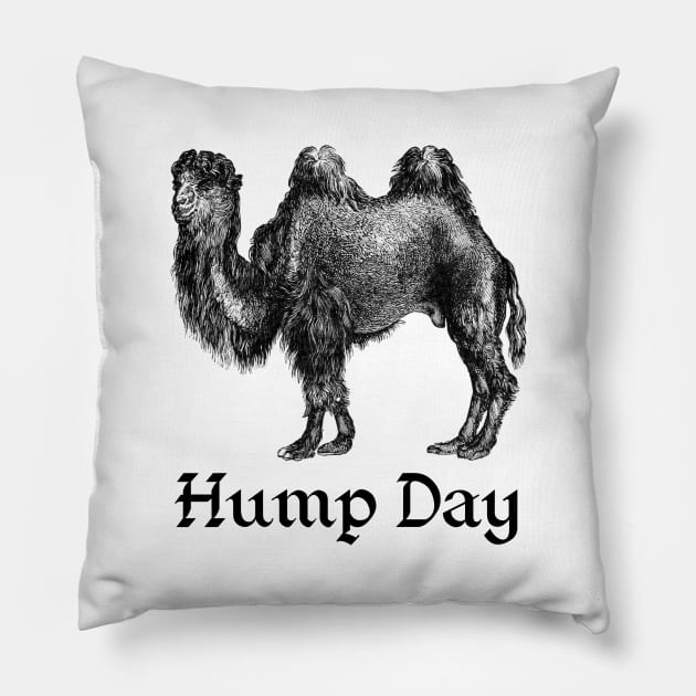 Hump Day Pillow by Craftee Designs