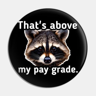 That's above my pay grade Pin