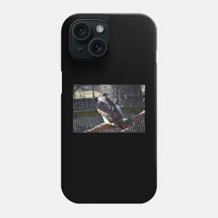 Hawk Phone Case