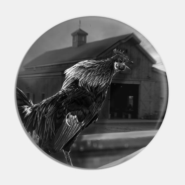 Stark black and white rooster Pin by KG