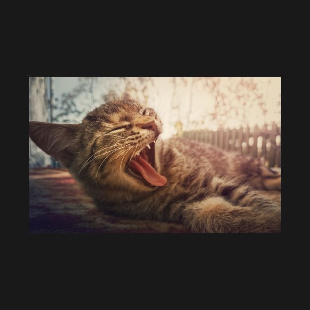 striped cat yawning by psychoshadow