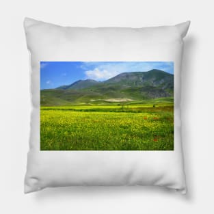 Flowering in Pian Grande Pillow