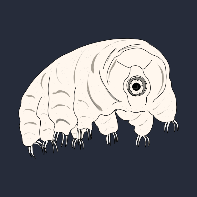 Biodiversity : the tardigrade by FabuleusePlanete