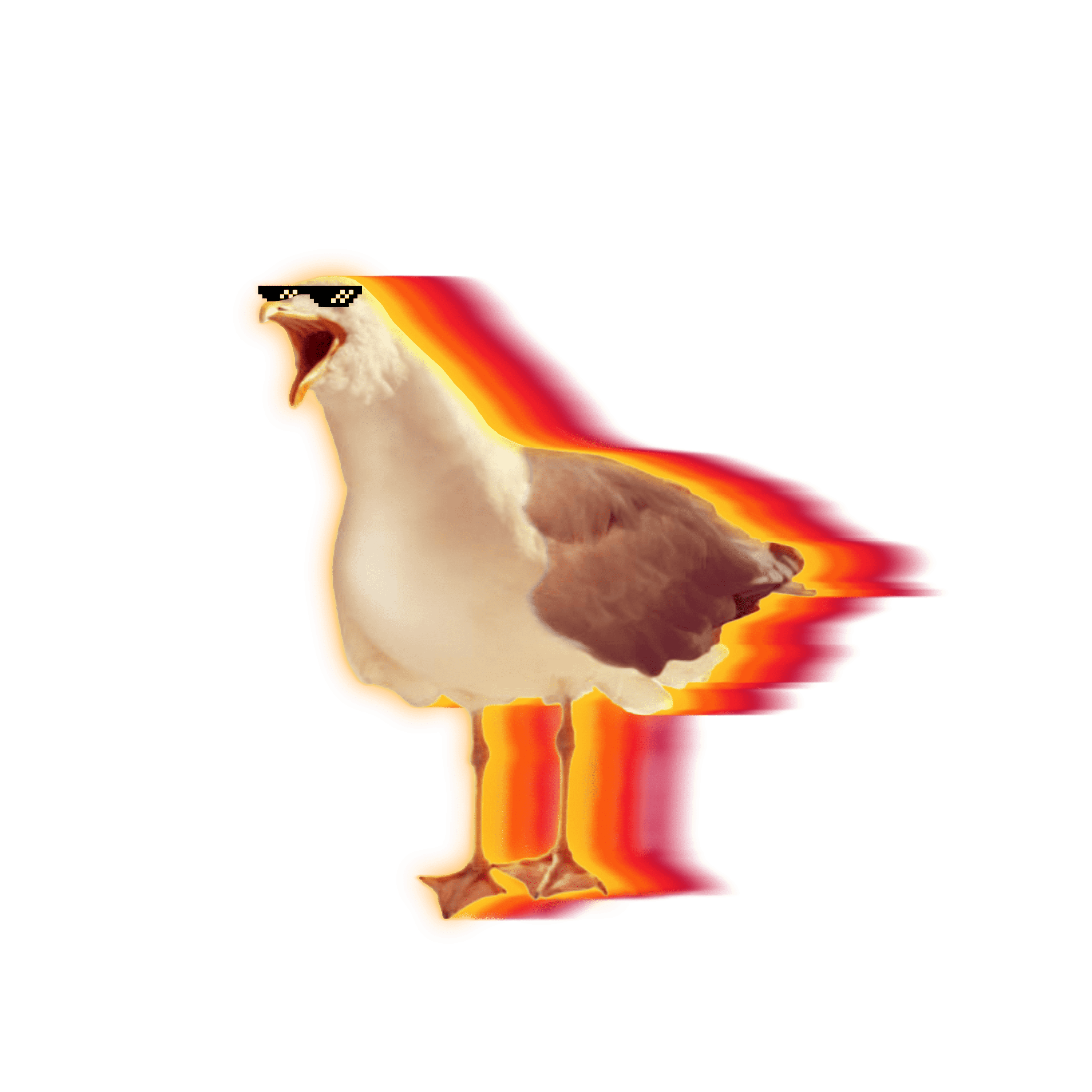 Snazzy Seagull profile image
