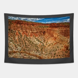 Capitol Reef National Park Tapestry