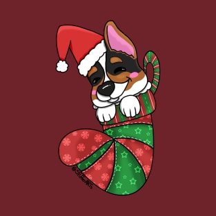 Stocking Stuffer Tri-Corgi Puppy T-Shirt