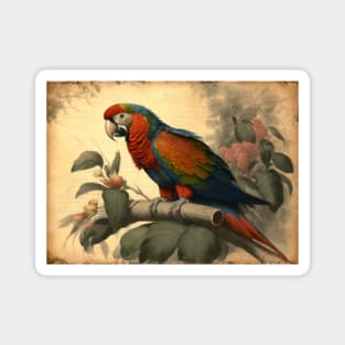 Vintage Parrot Magnet