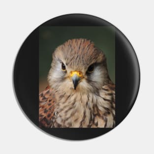 Kestrel Pin