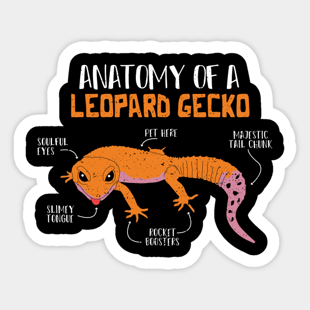 Anatomy Of A Leopard Gecko - Animal - Sticker | TeePublic