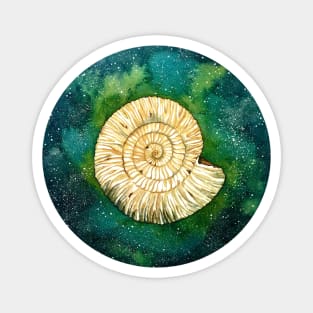 Ammonite Galaxy Magnet