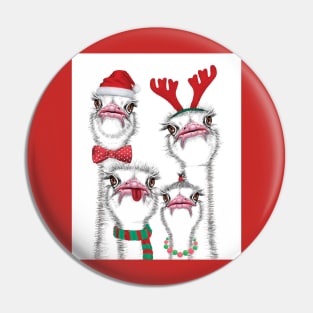 Christmas ostrich family Pin