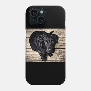 Wow! What A Beautiful Black Puppy Dog Phone Case
