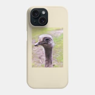 Closeup portrait of common ostrich Phone Case