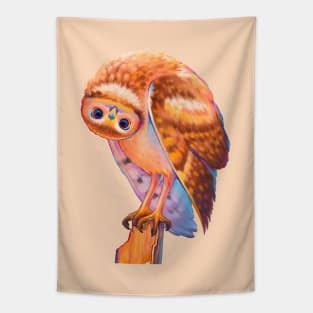 Cute Cartoon Owl Tapestry