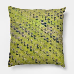 Aerial view of red wine vineyard Pillow