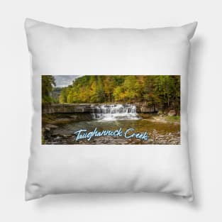 Taughannock CreekTompkins County New York Pillow