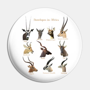 Antelopes in Africa Pin
