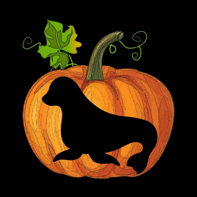 Seal in pumpkin by Flavie Kertzmann