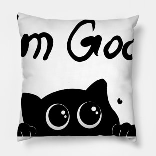 A Good Look / Luck Pillow