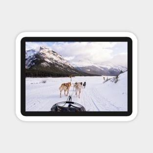 Dogsledding Perfection Magnet