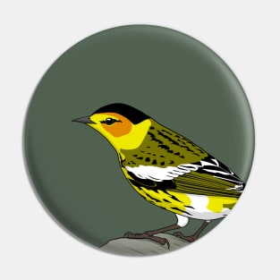 Cape May Warbler Pin